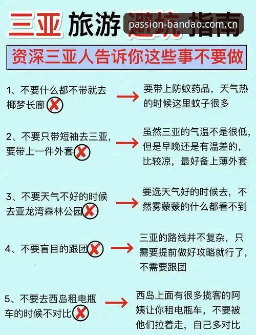 资深用户实测分享：半岛APP安装攻略与使用心得，避开这些坑才算真懂行